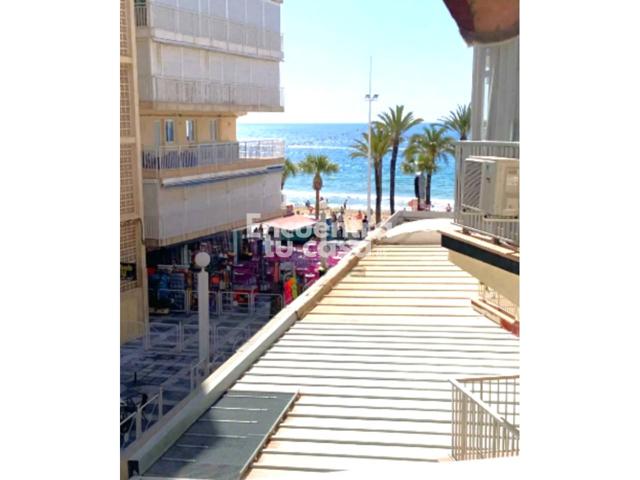 Bonito Piso en Benidorm Zona Levante photo 0