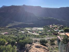Finca rústica con árboles frutales en Barranquillo Andrés photo 0