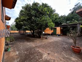 Finca única en El Zumacal (Valleseco) con casa de 376 m² y terrenos de cultivo photo 0