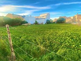 Terreno extenso en Santa Margalida, oportunidad única photo 0