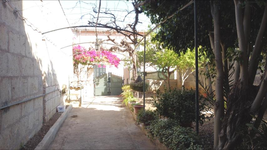 CASA EN SANTA MARGALIDA photo 0