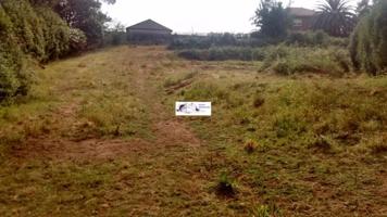 SE VENDE TERRENO URBANIZABLE DE 2.000m2 SEGREGADO EN 2 PARCELAS EN AMORIN (TOMIÑO) photo 0