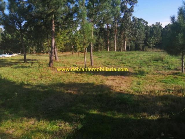 SE ALQUILA TERRENO DE 3.000m2 EN BUDIÑO (O PORRIÑO) photo 0