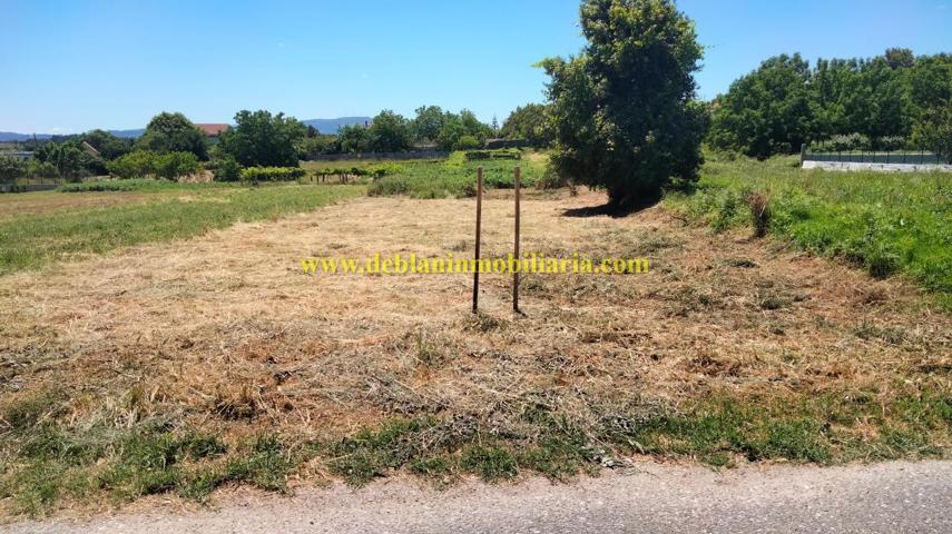 SE VENDE TERRENO NO EDIFICABLE DE 526m2 EN TUI photo 0