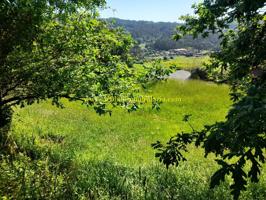 TERRENO DE 1.399 M2, EN MALVAS - TUI photo 0