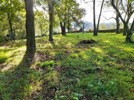 TERRENO EDIFICABLE DE 1.703 M2, A 5 MINUNOS DEL CENTRO photo 0