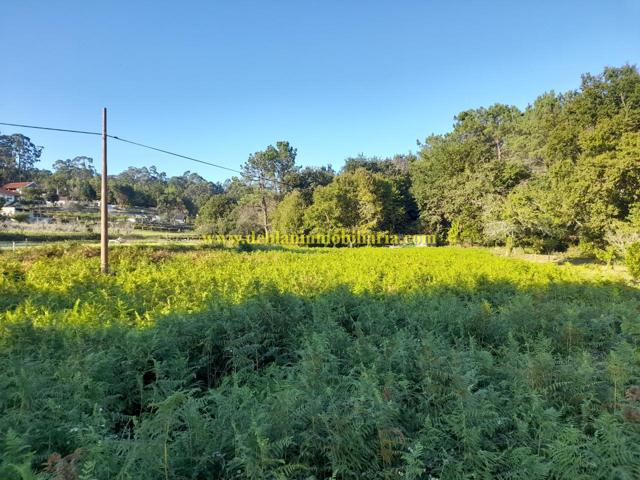 TERRENO RÚSTICO DE 2.056 M2 photo 0