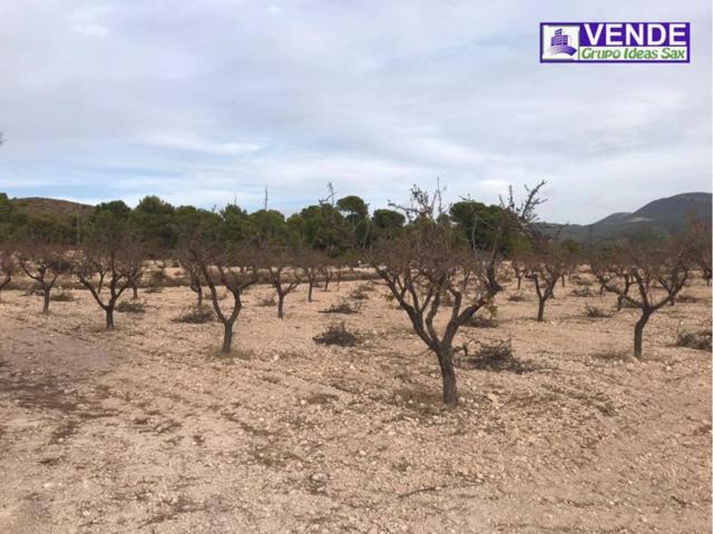 Finca rustica en venta en Sax photo 0