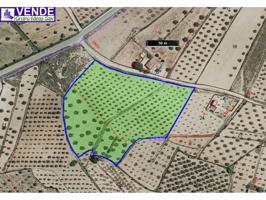 Terreno edificable en Paraje Ciscar en Sax photo 0