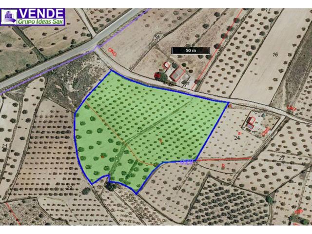 Terreno edificable en Paraje Ciscar en Sax photo 0