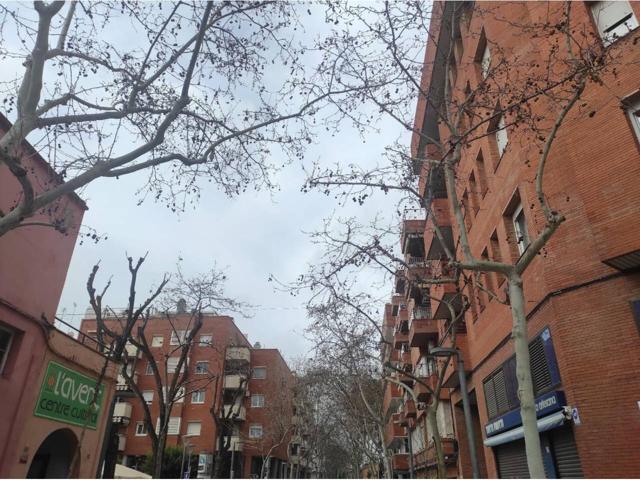 Centro, ubicación inmejorable , dos plantas abajo 42m2 y arriba 32m2, todo impecable, hay que verlo.. photo 0