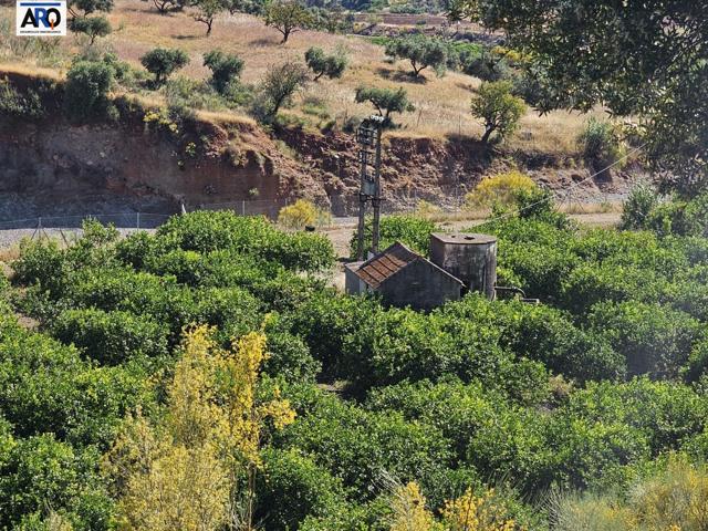 Se vende finca rústica de 255.600m2, Puerto de la Torre en Málaga. photo 0