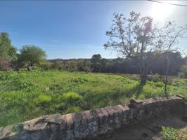PARCELA EN VENTA EN SUBIRATS (CAN CARTRO) photo 0
