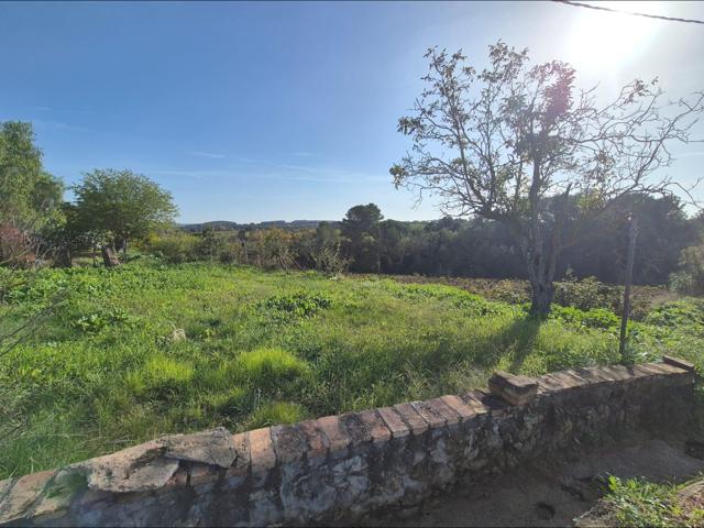 PARCELA EN VENTA EN SUBIRATS (CAN CARTRO) photo 0