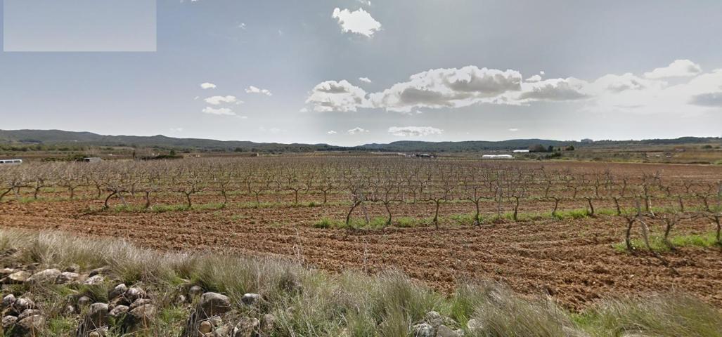 TERRENO RÚSTICO EN VENTA EN L'ARBOÇ photo 0