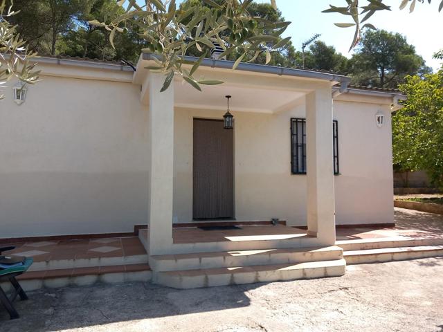 Casa 4 vientos de una planta en parcela llana 1836m² photo 0