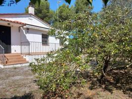 Casa de una planta en terreno de 1009m² photo 0