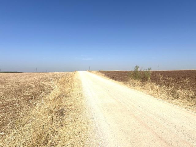 FINCA EN ZONA DE LAS CABEZAS (DON BENITO). ZONA CARRETERA CRUCES photo 0