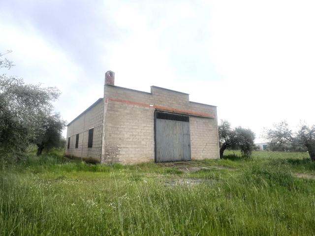PARCELA CON NAVE EN COTO PERRERO (DON BENITO) photo 0