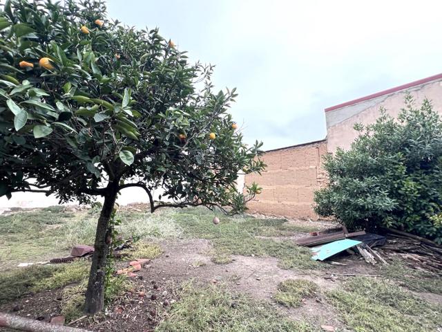 CASA-SOLAR EN AVENIDA DEL PILAR CON APROX. 400 M2 photo 0