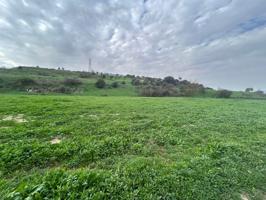Terreno No Urbanizable en Alquiler en Alhaurín de la Torre, Málaga photo 0