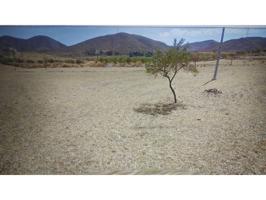 Se vende parcela de 11.000 m2, proyecto y licencia, luz y agua en la misma finca, bonitas vista a la ciudad. photo 0