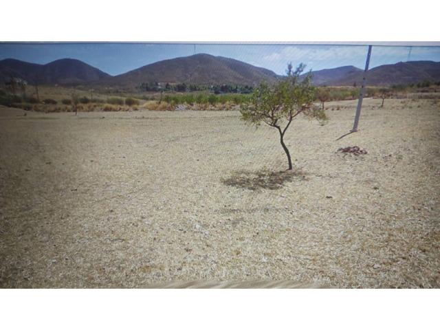 Se vende parcela de 11.000 m2, proyecto y licencia, luz y agua en la misma finca, bonitas vista a la ciudad. photo 0