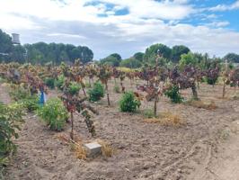 Terreno en venta en Santa Cruz del Retamar photo 0