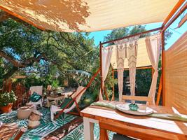 EL NEGOCIO COMPLETO CON VIVIENDA INCLUIDA (Glamping + Casa + 2000m² de Terreno) photo 0