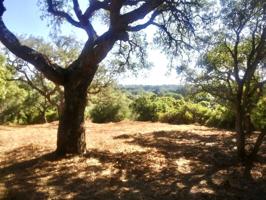 Terrenos Edificables En venta en Sotogrande photo 0