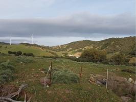 Gran Finca rodeada de naturaleza photo 0