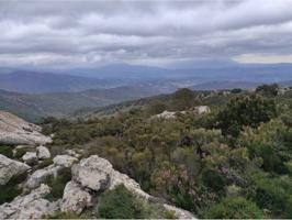 FINCA EN JIMENA DE LA FRA. photo 0