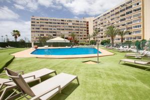 Apartamento estudio reformado y centrico en Playa del Ingles con balcon y bonitas vistas photo 0