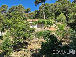 🏡 ¡Oportunidad Única en El Rectoret - Collserola - Vallvidrera! photo 0