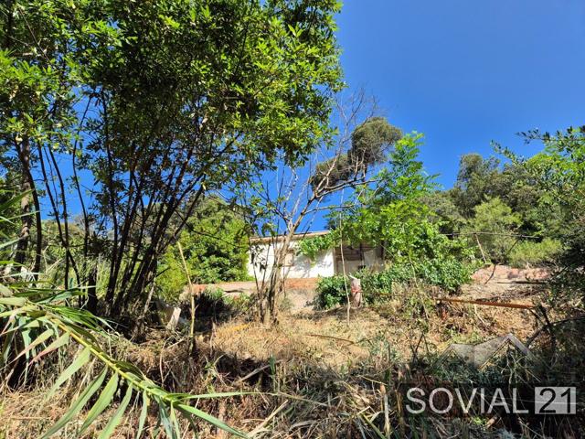 🏡 ¡Oportunidad Única en El Rectoret - Collserola - Vallvidrera! photo 0