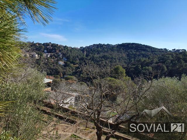 Vive la naturaleza a un paso de Barcelona photo 0