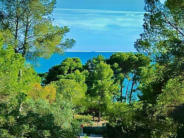Voramar zona Palasiet photo 0