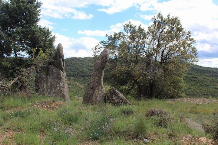 24ha de finca rústica en Sapeira - Esplugafreda! photo 0