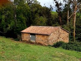 Espectacular cabaña típica cerca de Sarón photo 0