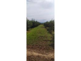 Terreno en venta en Cogullada photo 0