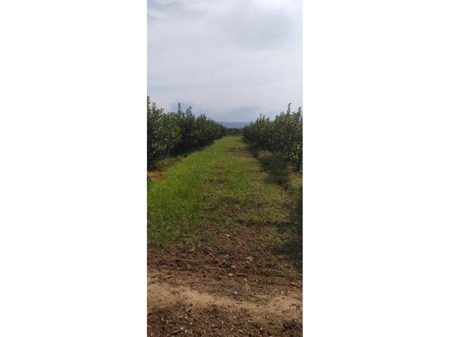 Terreno en venta en Cogullada photo 0