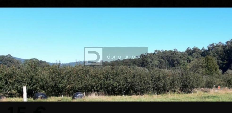PARCELA RUSTICA EN VENTA photo 0