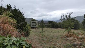 VENTA DE FINCA CERCA DE OUTARIZ photo 0