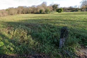 Terreno en venta en Colloto de 42300 m2 photo 0