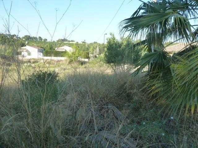 TERRENO URBANO EN VENTA EN TORRENT. OPORTUNIDAD PARA AUTÓNOMOS Y EMPRESAS!!! photo 0