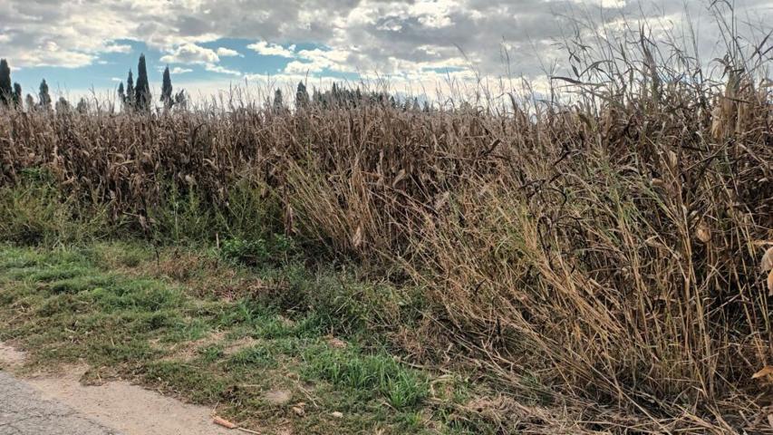 Casa de campo-Masía en Venta en Estartit Girona photo 0