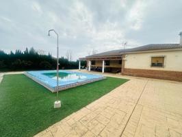 PRECIOSA PARCELA CON GRAN CASA CON PISCINA EN MAJANEQUE photo 0