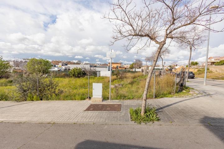 Gran oportunidad en Fons Somella: parcela divisible para dos viviendas únicas o una espectacular photo 0