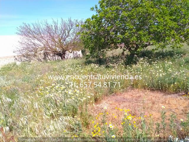 Terreno Urbanizable En venta en Marquesado, Chiclana De La Frontera photo 0