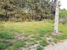 Terreno Urbanizable En venta en Pago Del Humo, Chiclana De La Frontera photo 0